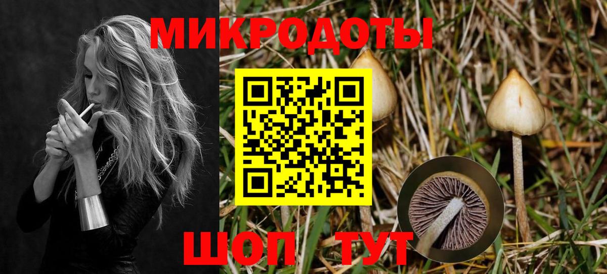 Псилоцибиновые грибы мухоморы Октябрьский